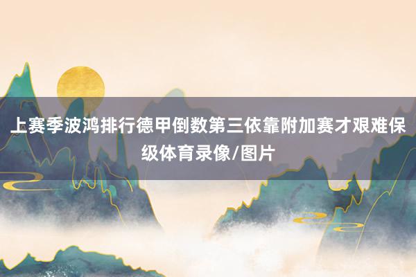 上赛季波鸿排行德甲倒数第三依靠附加赛才艰难保级体育录像/图片