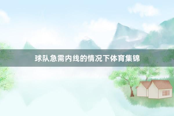 球队急需内线的情况下体育集锦