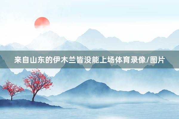 来自山东的伊木兰皆没能上场体育录像/图片