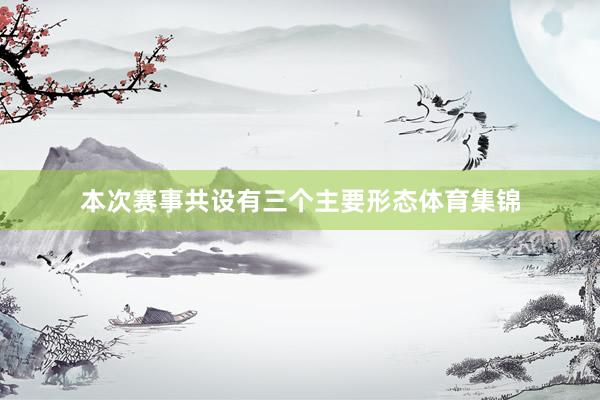 本次赛事共设有三个主要形态体育集锦