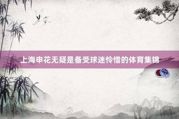 上海申花无疑是备受球迷怜惜的体育集锦