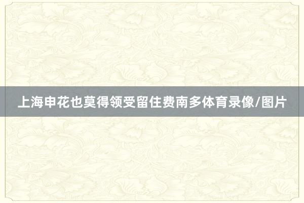 上海申花也莫得领受留住费南多体育录像/图片