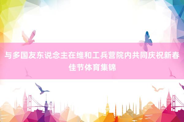 与多国友东说念主在维和工兵营院内共同庆祝新春佳节体育集锦