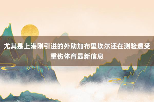 尤其是上港刚引进的外助加布里埃尔还在测验遭受重伤体育最新信息