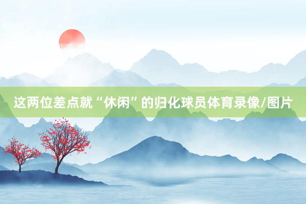 这两位差点就“休闲”的归化球员体育录像/图片