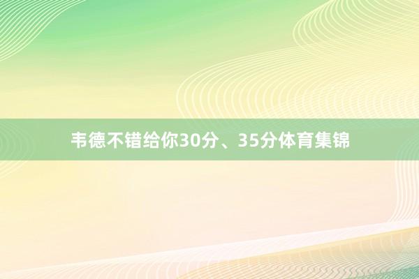 韦德不错给你30分、35分体育集锦