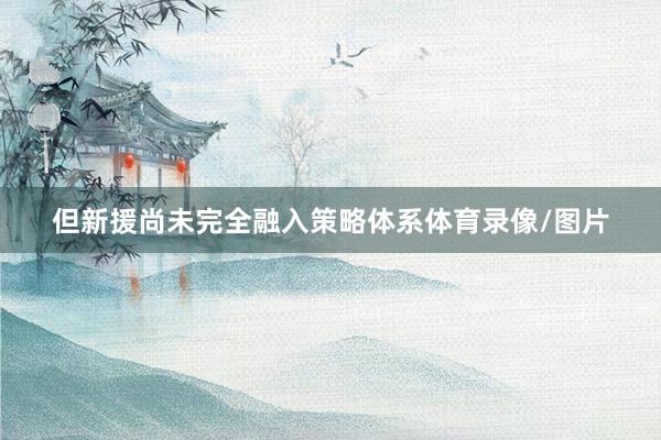 但新援尚未完全融入策略体系体育录像/图片