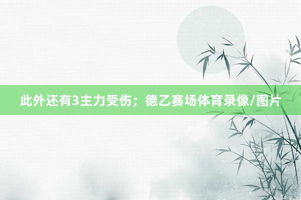 此外还有3主力受伤；德乙赛场体育录像/图片