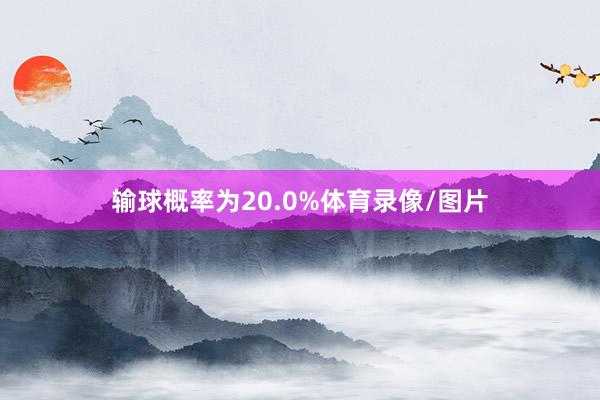 输球概率为20.0%体育录像/图片