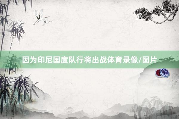 因为印尼国度队行将出战体育录像/图片