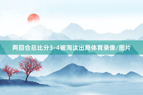 两回合总比分3-4被淘汰出局体育录像/图片
