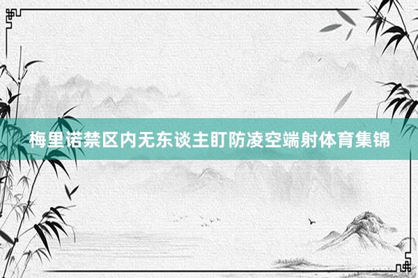 梅里诺禁区内无东谈主盯防凌空端射体育集锦