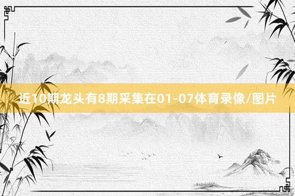近10期龙头有8期采集在01-07体育录像/图片