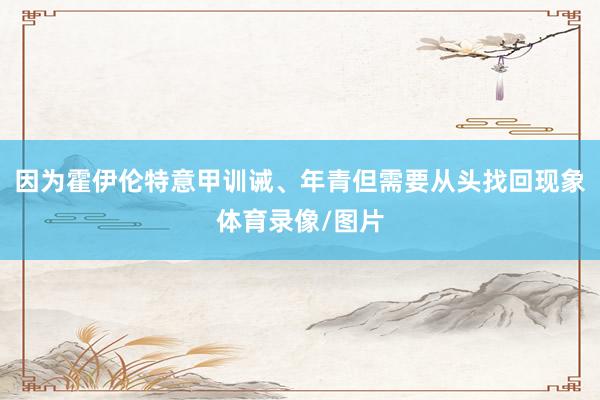 因为霍伊伦特意甲训诫、年青但需要从头找回现象体育录像/图片
