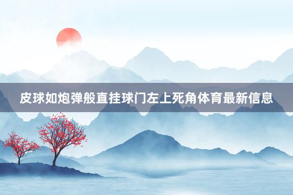 皮球如炮弹般直挂球门左上死角体育最新信息