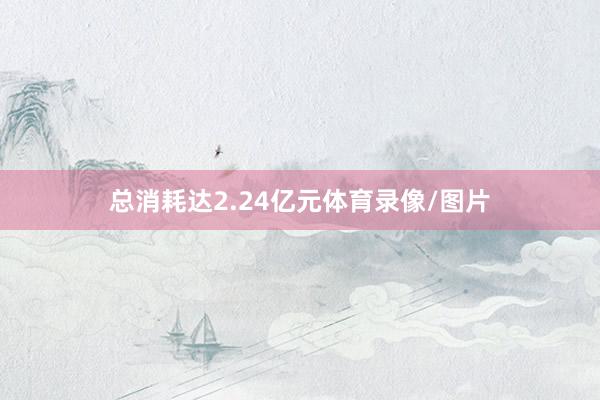 总消耗达2.24亿元体育录像/图片