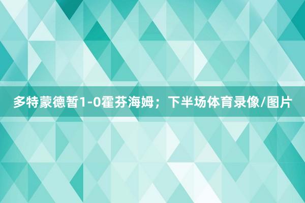 多特蒙德暂1-0霍芬海姆；下半场体育录像/图片