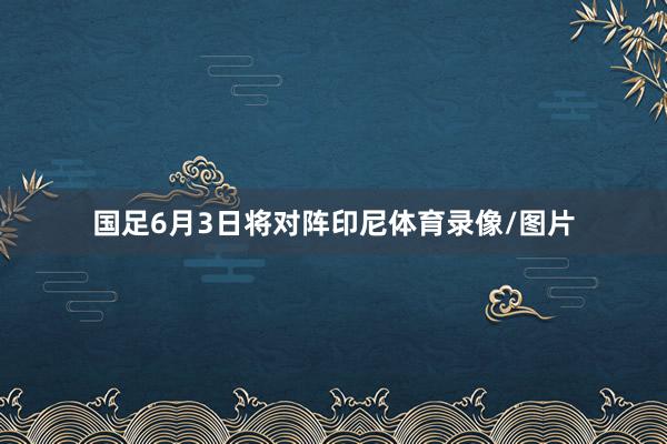 国足6月3日将对阵印尼体育录像/图片