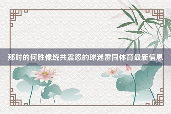 那时的何胜像统共震怒的球迷雷同体育最新信息