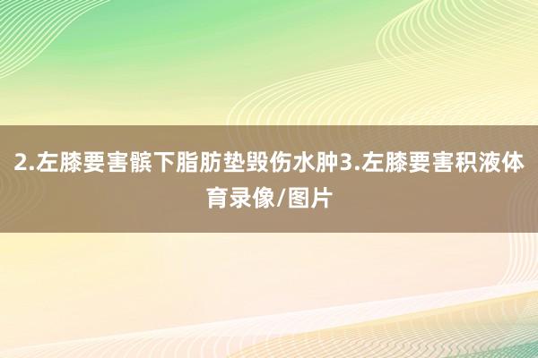 2.左膝要害髌下脂肪垫毁伤水肿3.左膝要害积液体育录像/图片