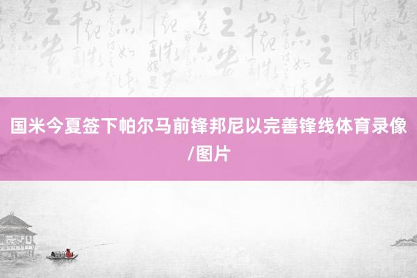 国米今夏签下帕尔马前锋邦尼以完善锋线体育录像/图片