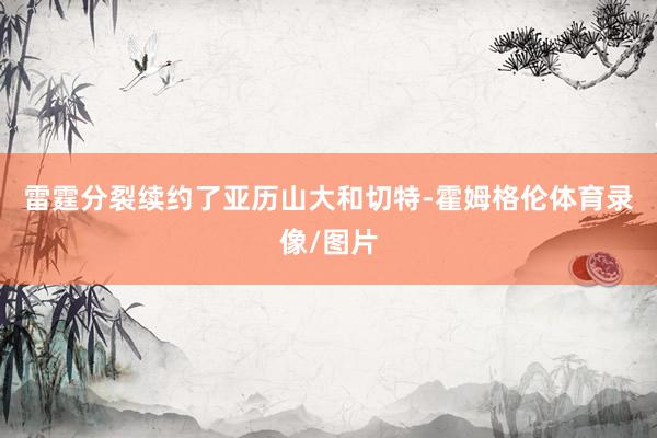 雷霆分裂续约了亚历山大和切特-霍姆格伦体育录像/图片