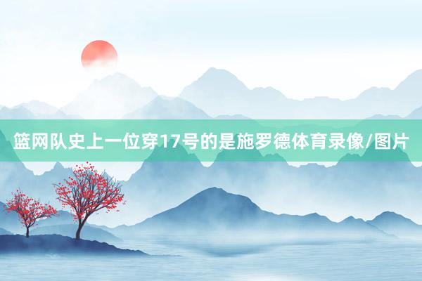 篮网队史上一位穿17号的是施罗德体育录像/图片