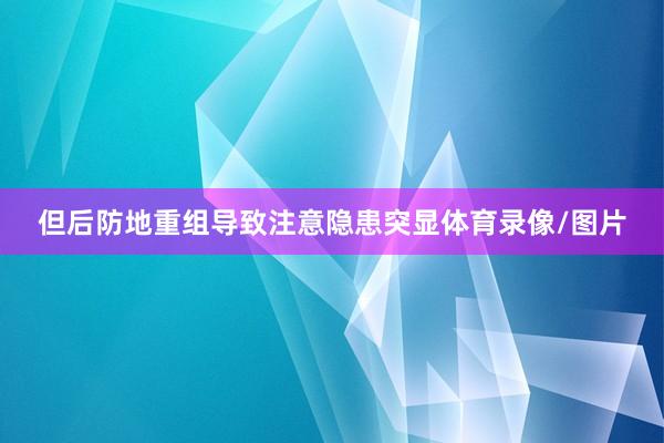 但后防地重组导致注意隐患突显体育录像/图片