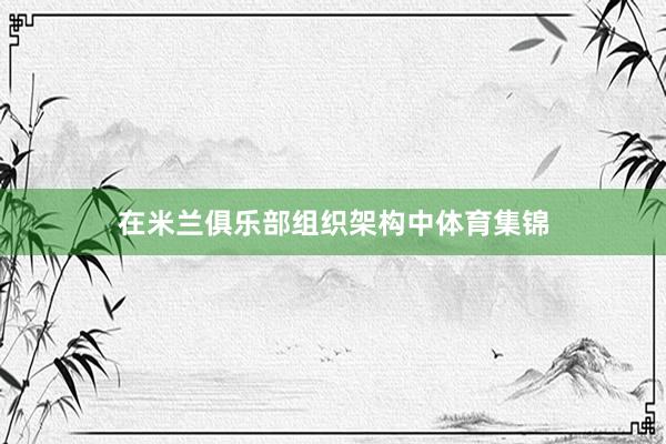在米兰俱乐部组织架构中体育集锦