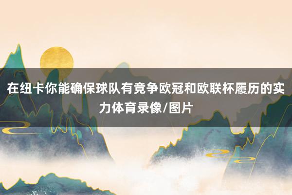 在纽卡你能确保球队有竞争欧冠和欧联杯履历的实力体育录像/图片