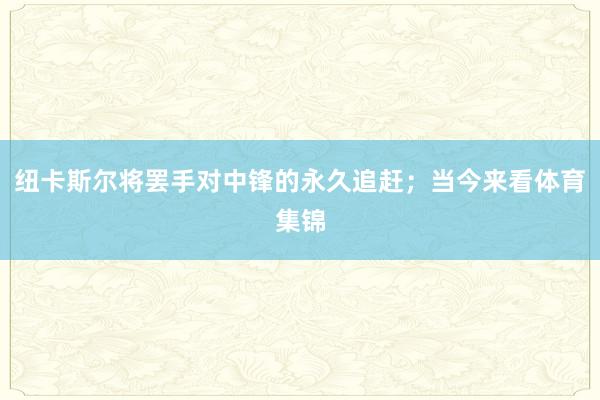 纽卡斯尔将罢手对中锋的永久追赶；当今来看体育集锦