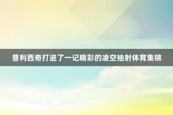 普利西奇打进了一记精彩的凌空抽射体育集锦