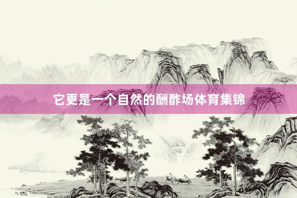 它更是一个自然的酬酢场体育集锦