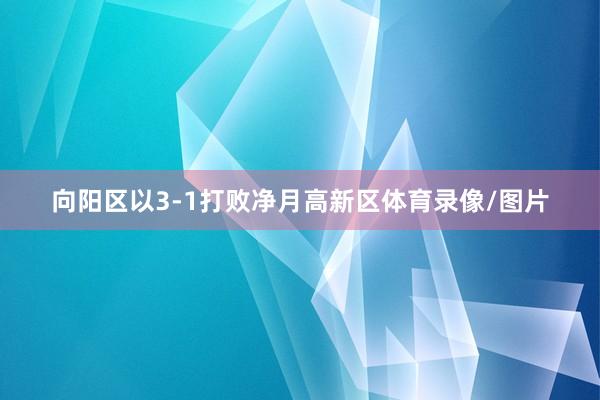 向阳区以3-1打败净月高新区体育录像/图片