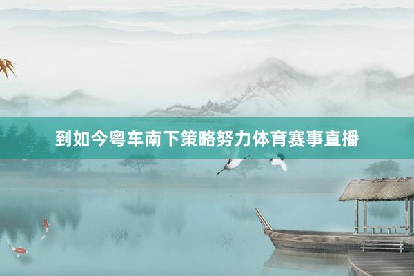 到如今粤车南下策略努力体育赛事直播