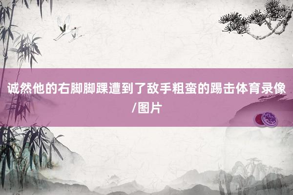 诚然他的右脚脚踝遭到了敌手粗蛮的踢击体育录像/图片