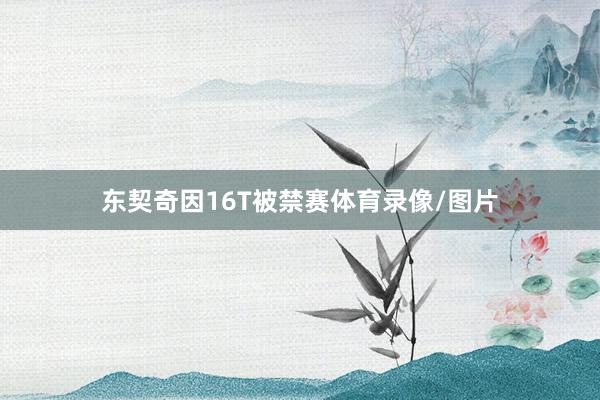 东契奇因16T被禁赛体育录像/图片