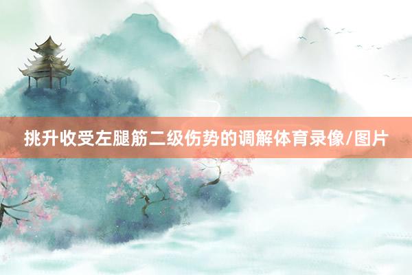 挑升收受左腿筋二级伤势的调解体育录像/图片