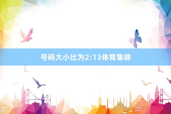 号码大小比为2:13体育集锦