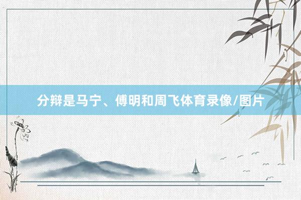 分辩是马宁、傅明和周飞体育录像/图片
