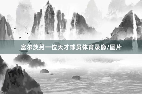 富尔茨另一位天才球员体育录像/图片