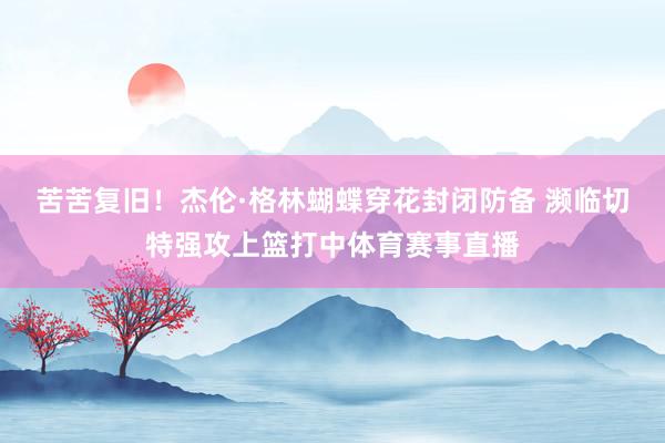 苦苦复旧！杰伦·格林蝴蝶穿花封闭防备 濒临切特强攻上篮打中体育赛事直播