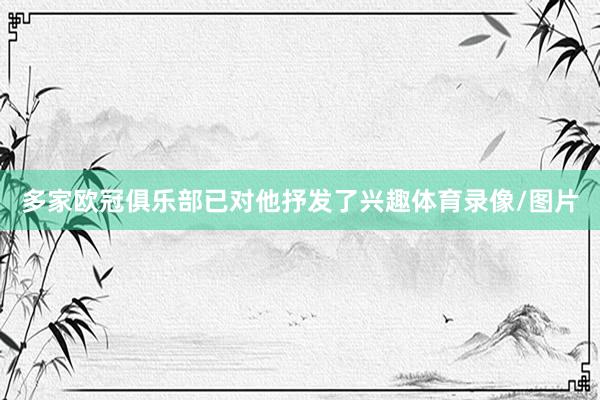 多家欧冠俱乐部已对他抒发了兴趣体育录像/图片