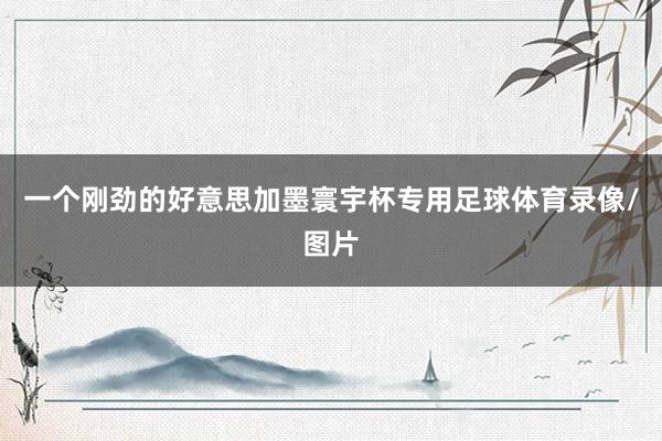 一个刚劲的好意思加墨寰宇杯专用足球体育录像/图片