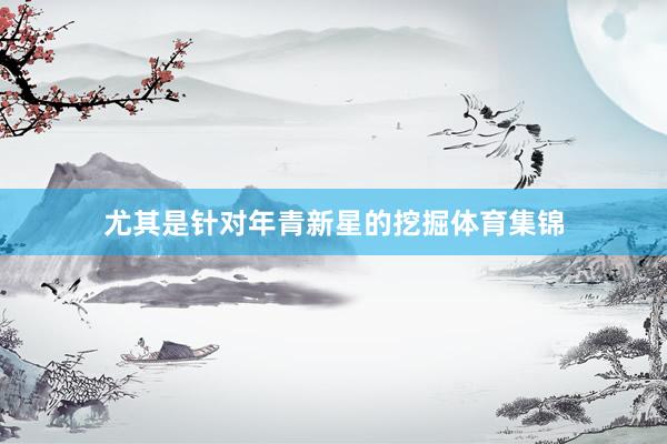 尤其是针对年青新星的挖掘体育集锦