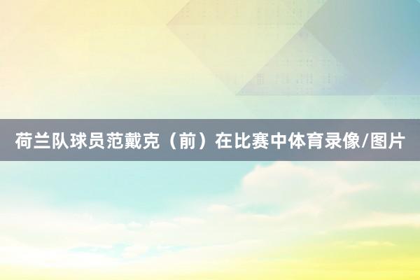 荷兰队球员范戴克（前）在比赛中体育录像/图片
